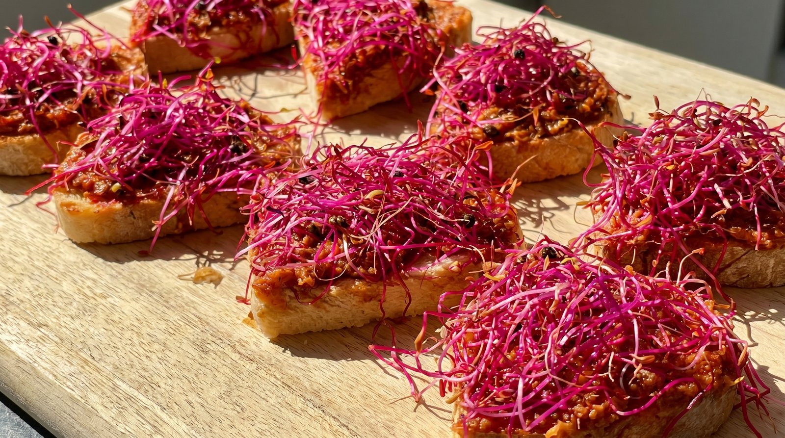 Tartines pesto rouge et germes de betterave