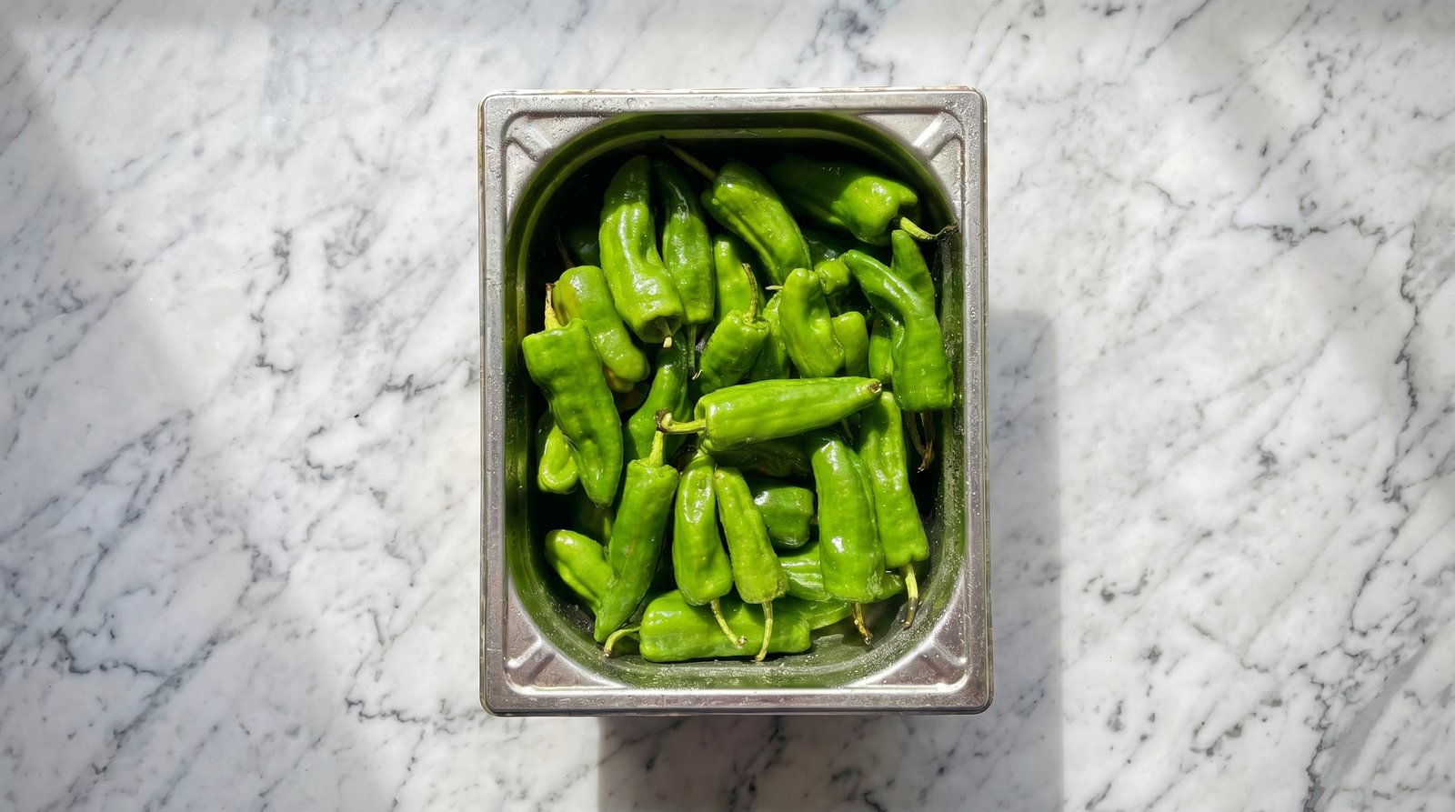 Poivrons padron crus